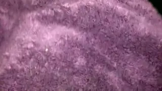 Supporting our troops - raw fuck