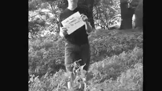 Amatør, Fetish, Gay, Træ