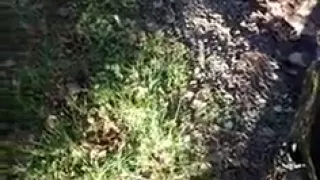 Undressed youthful boy-friend cumming outdoors