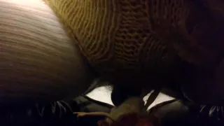 Foot and double fisting doll taking cum