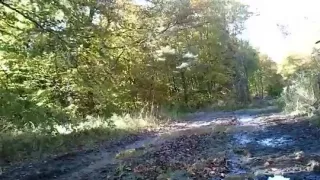 mudding an jerk-off in the wood