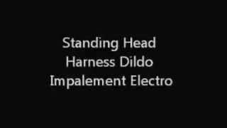 Standing Head Harness Sex Toy Impalement Electro