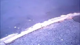 stripped public park and street