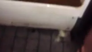 Ein Pissbad in einem Pissoir an einem belebten Stadtplatz nehmen zwei