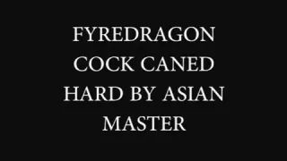 fyredragon recieves hard shlong caning from Oriental Corporalist