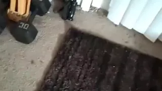 also much for the Sub