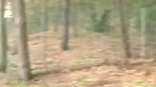 in and out of the car