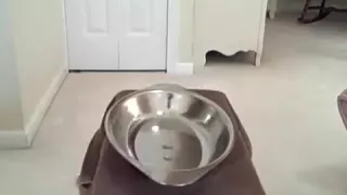 Keuschheit, Milch, Pisse und Sperma