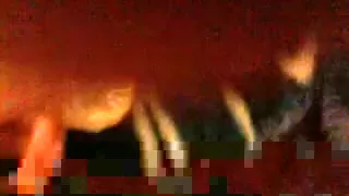 Spielen mit verkrusteten Boxershorts und gebrauchtem Kondom von WngXStpXCub