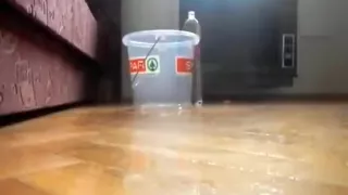 My socks, feet, shoes and my slave lick my shoes and boxer,