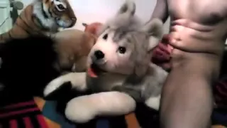 Safer Sex mit einem Löwenplüschtier