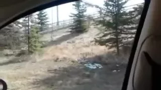 Jacking Off in the Car Parked on a Busy Street