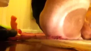 Variety is the ass of life!