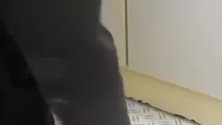 nlboots - letting my rubber catsuit down, while wearing boot