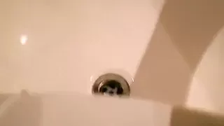 Shave shaft, bollocks, and wank...........