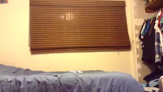 sucking a married bud