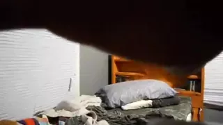 angle two of the bedroom fuck