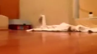 Flasche und Nerf Ball ficken