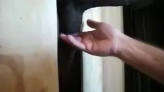 BBC at the Gloryhole