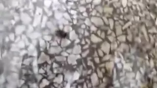 Boyfriend again - filmed by hidden cam