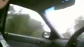 car pickup and bush suck