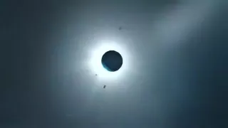 Hotel Sex With A Hairy Top Dominant Man