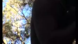 Dunes busy - like busess