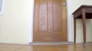 Desperate and soaked on the porch