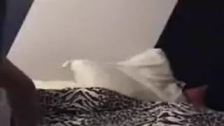 me getting a straight friend off