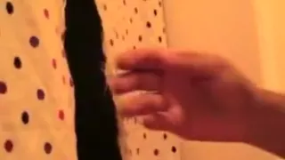 Mehr Schwanz zu Hause Gloryhole