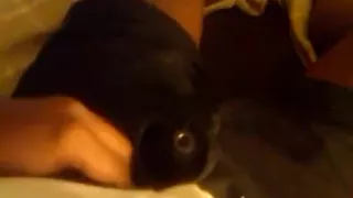 Another one - indian