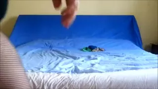 Spaß im Bett beim Wechseln von Strumpfhosen, Höschen und Socken