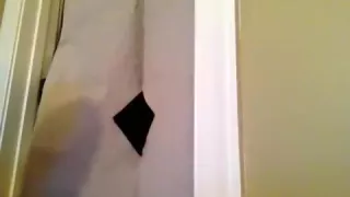 Gloryhole Service für einen großschwänzigen Hengst!