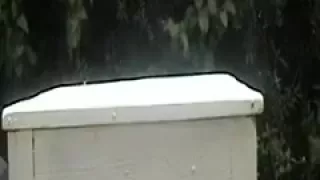 ass stretching training in the nature