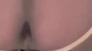 asian bred by hot top