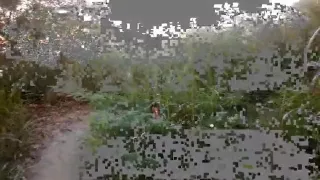 Asiatische Idioten in den Bergen