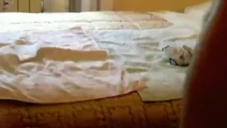 Me massage my prostate with a screwdriver dildo