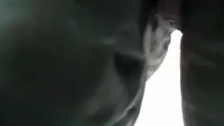 Piss, Leather, Cum Shower