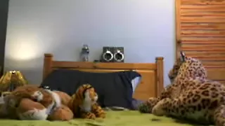 Bambino Diaper change and fun