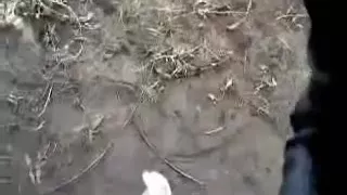 Indiana College Girlfriend Outdoor Cook Jerking & Fellatio Stimulation