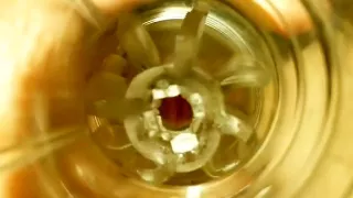 Nice boyfriend is having fun at home and filming himself on web camera