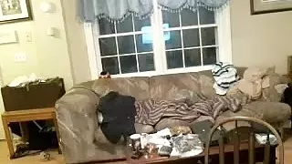 nice-looking boyfriend  is frigging in a small room and filming himself on webcam