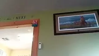 Hübscher Schwuler wichst in einem kleinen Raum und hält sich vor der Kamera fest