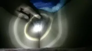 Found this fur pie in the dark with a flashlight and played with it