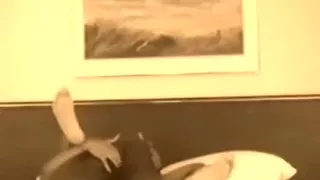 This Man bangs me in missionary style and makes me fly on web camera