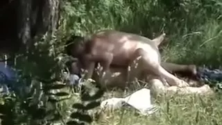 hot sex of my boyfrend and his hot excited girlfriend  in forest