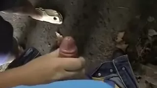 Just my colleague with diminutive rod hopeless for a quickie