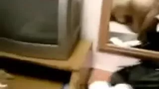 My asstastic bulky lady gets her moist cum-hole nailed