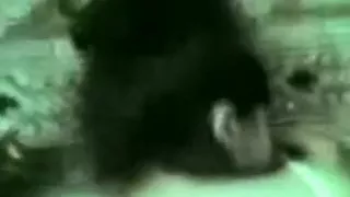 That Hottie is so lustful to be screwed hardcore from behind and jizzed