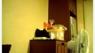 Taiwanees mother i'd like to fuck got her face aperture and fur pie banged hard by ma perv fella